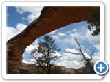 Natural Bridges National Monument