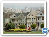 Painted Ladies